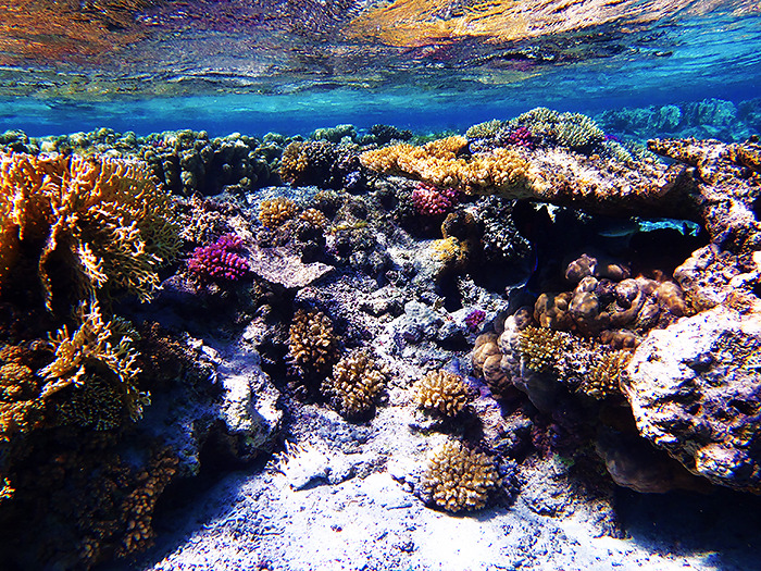 takemetothedungeons:  Satayah, Egypt - October 2013 