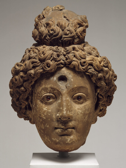 Buddha or Bodhisattva head, Gandhara