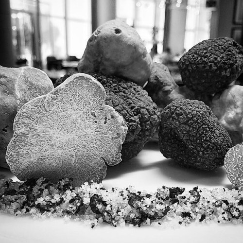 We’re loving #truffles this season at #CUTdubai. Photo from Chef Raymond Weber #WPglobal