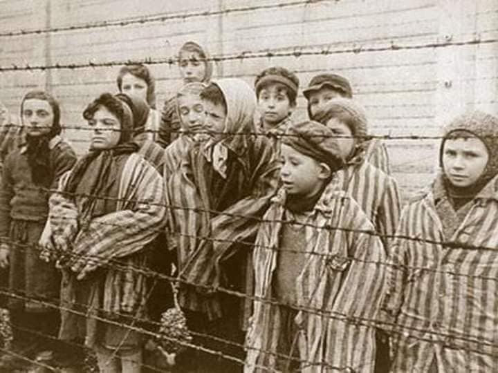L'Olocausto dei bambini ad Auschwitz
Nel lager di Auschwitz furono circa 230mila i bambini e gli adolescenti che furono prigioneri, il numero più numeroso gli ebrei, ma anche rom, polacchi e slavi.
Quasi tutti
furono uccisi nelle camere a gas, altri...