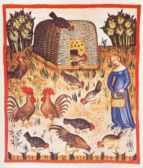 Medieval Justice — The Case of the Rooster of BaselIn 1474 a rooster living in the city of Bas