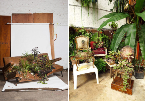 unconsumption:“An old chair is given new life through the introduction of botanical life.&rd