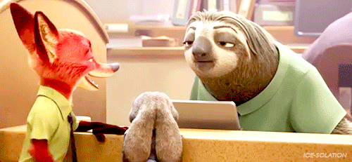 udina:  ice-solation:  “Hey Flash, want to hear a joke?”“NO!” – (x)  okay this is the actual cutest thing I’ve ever seen look at that sloths fuckin face omg 