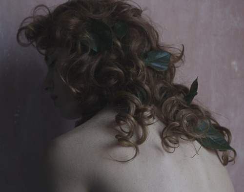 eikadan:NymphDanio Amaranth