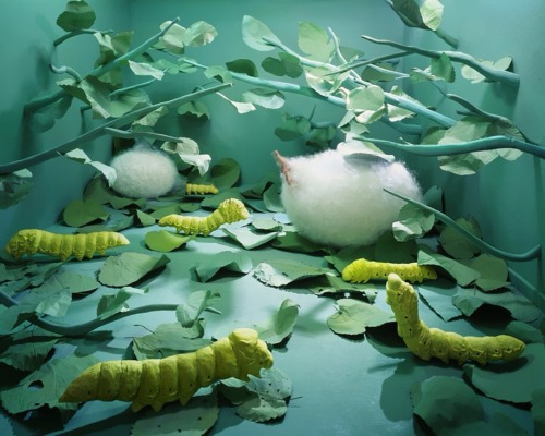 ladypeterson: Korean artist Jee Young Lee’s beautiful dreamscapes are living proof that you do