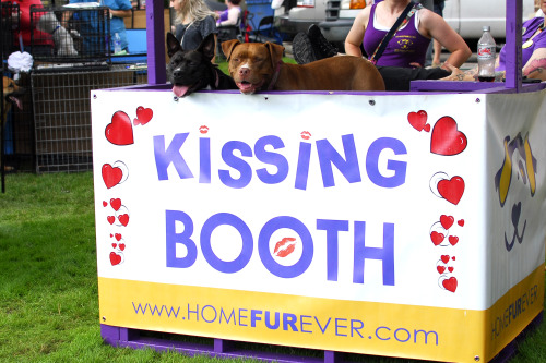 The kissing booth girls are ready to smooch your face!