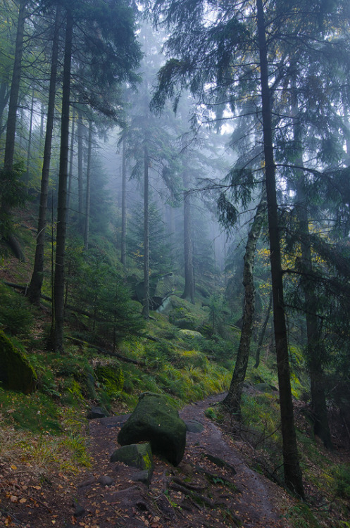 unwrittennature: Only Silence Remains (by Dietrich Bojko Photographie)