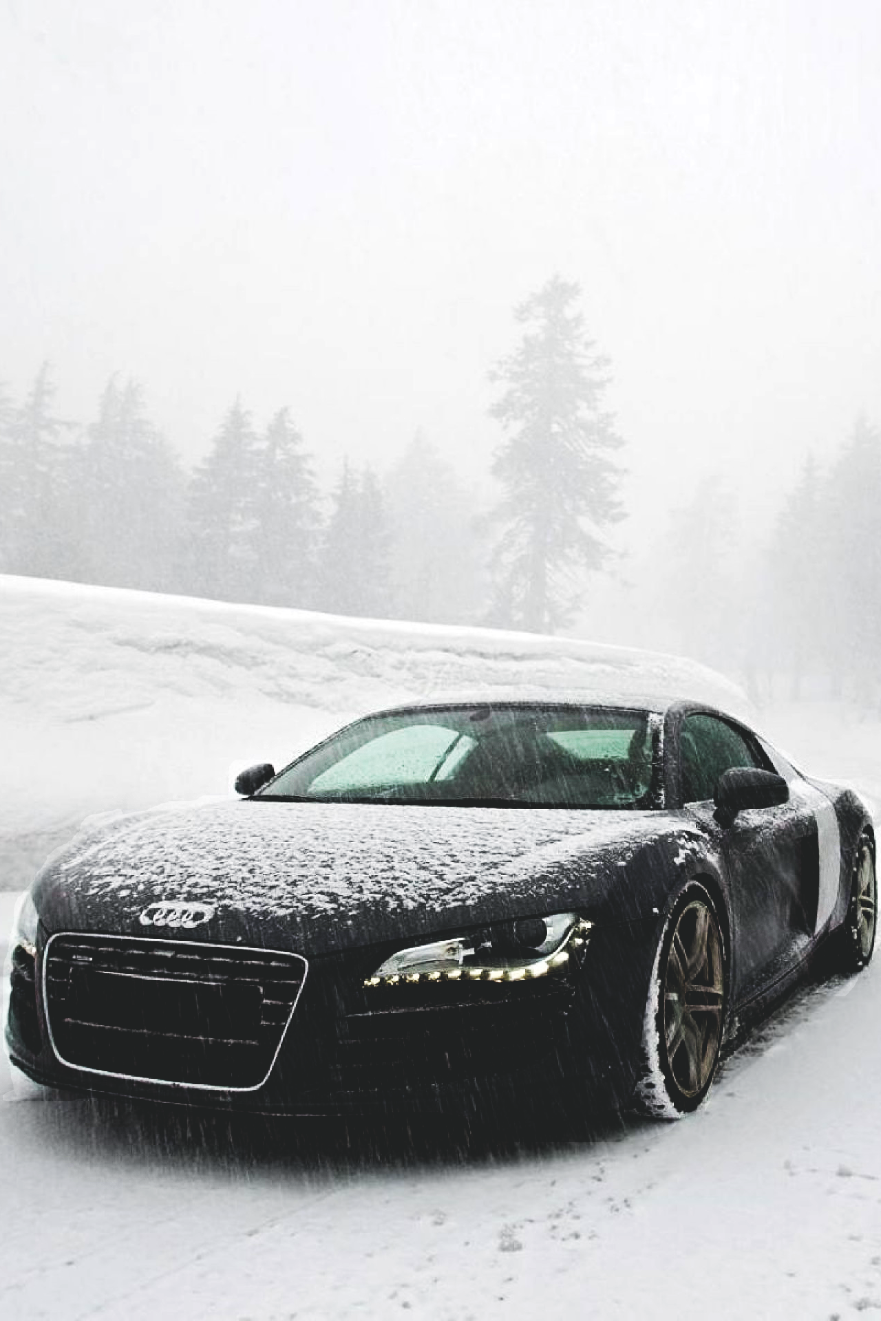 mellow-dfresh:  e-vow1978:  drugera:  Snowy R8  😘  💦😚 