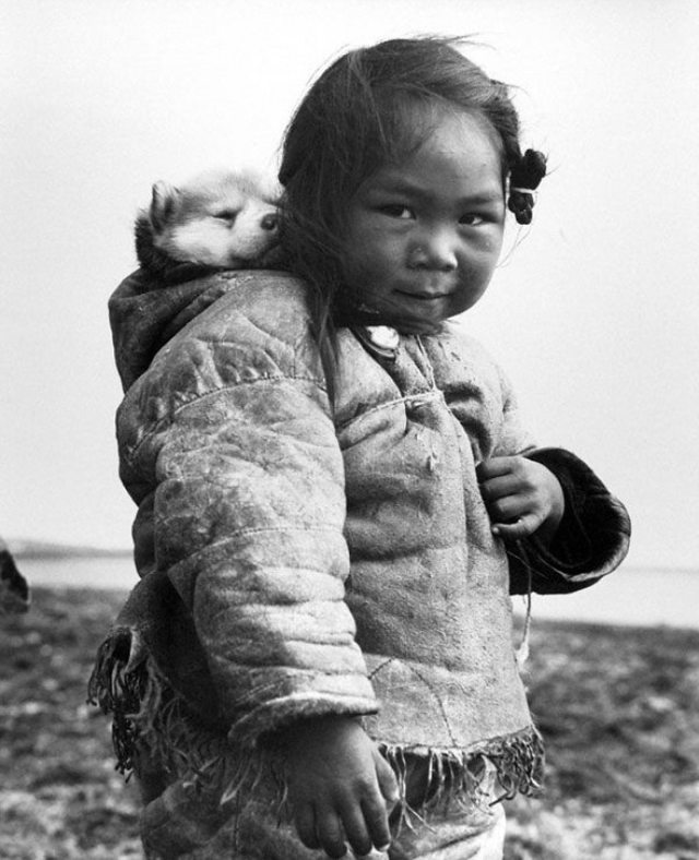 pasalieu:pasalieu:why do photographers still exist when puppy sleeping 1955 japan & inuit girl and her puppy 1949 have already been photographed. choose a new careerlike. do you really think you can snap something better than this