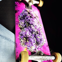 zeldar420:  My dope new board, lol my blog in one pic 