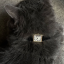 meaww