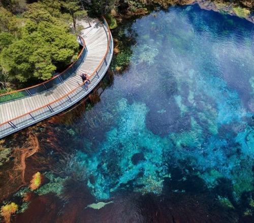 amitrips: Located in New Zealand, Takaka, there`s a wonderful place - Te Waikoropupu Springs. They`r