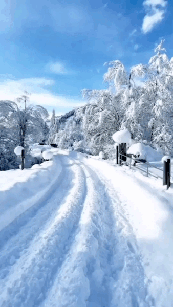 burayagelkedicik-deactivated202: