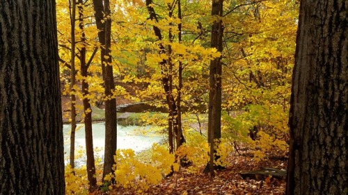 bookofoctober:Halloween colors- October 31, 2016 in Huron Charter Township, MI. Photos by MichiganSnowLvr