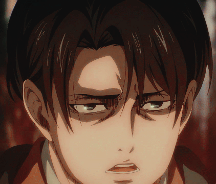 LEVI ACKERMAN The Final Season