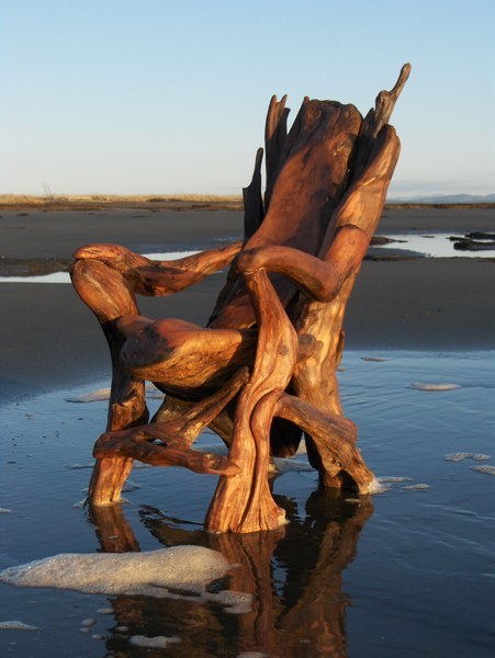 Porn photo serpentines-fires: Incredible, Driftwood