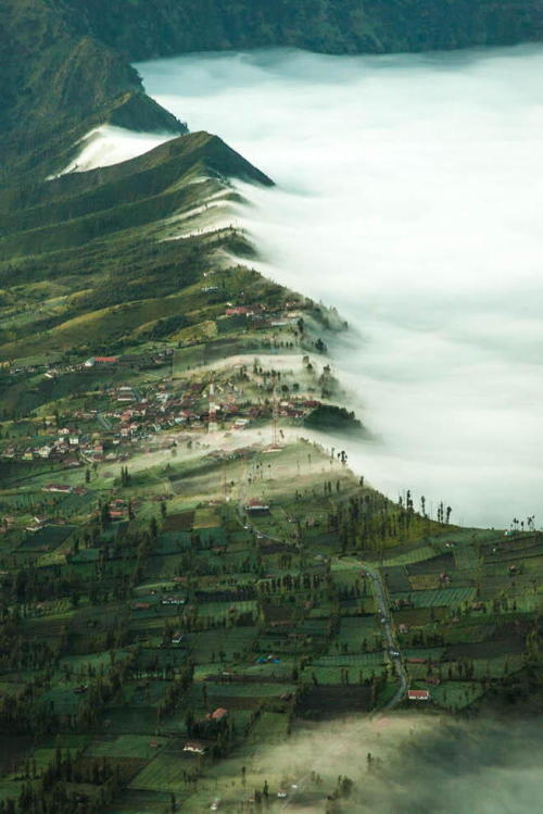 thegeneralmerchant: Near Bromo  |  Martin Neuhof