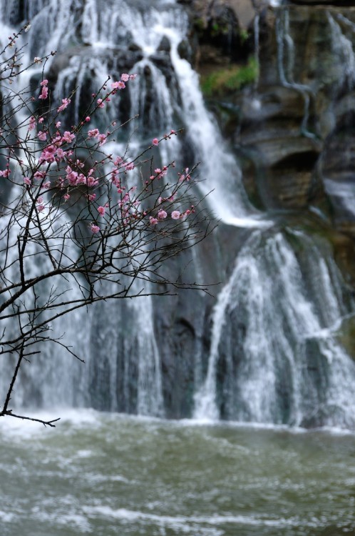 outdoormagic:Spring of the waterside by Kazumi Ishikawa