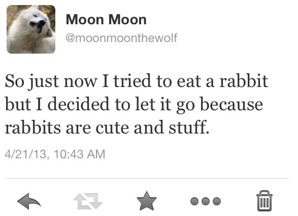 kittyaroo:  youweremy-collection:  Moon moon what is wrong with you  oh my lanta