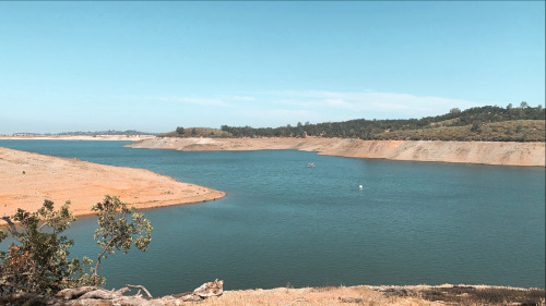 Summer has arrived at Folsom Lake in Gold Country. The grass is turning gold and the lake is bright 