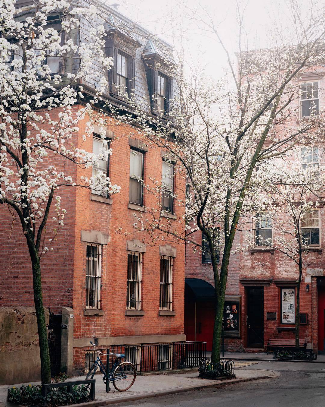 floralls • Springtime in NYC by Joe Thomas