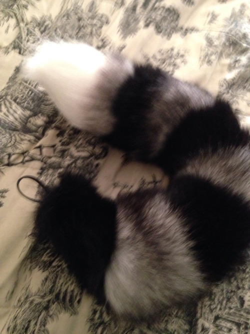 thespankacademy:  frankzdollie:  So not all of the pictures are the best quality but I would like to thank thespankacademy for my amazing custom monster tail. I can’t get over how fluffy this baby is and soft.   The wonderful folks over there were even