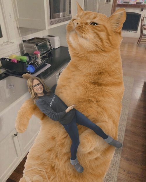 Photoshop Battles: Jenna Fischer and her cat | sources