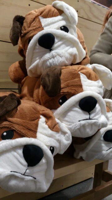 shuushoku:Ikea sells bulldog plushes.I named them Max. All of them.