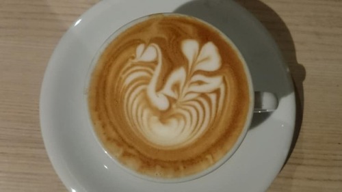 Swan 6oz