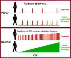 Orgasmische Vibratoren In Voller Action Orgasmische Vibratoren In Voller Action
