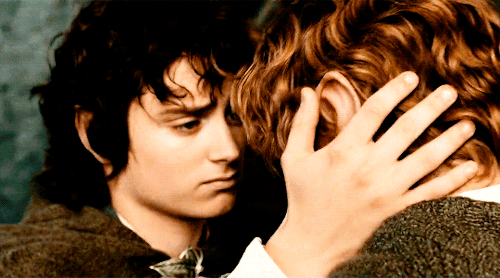 tlotrgifs:Our Favorites: [Day 05/24] Elise’s Favorite Friendship (Lord of the Rings) ↳ Frodo B