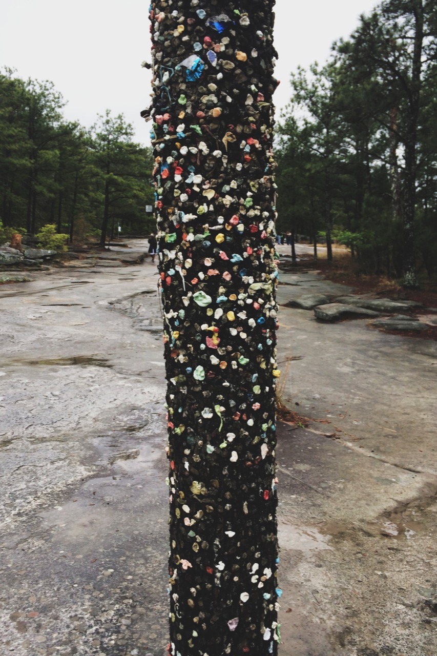 secretofthetrees:  Stone Mountain Georgia