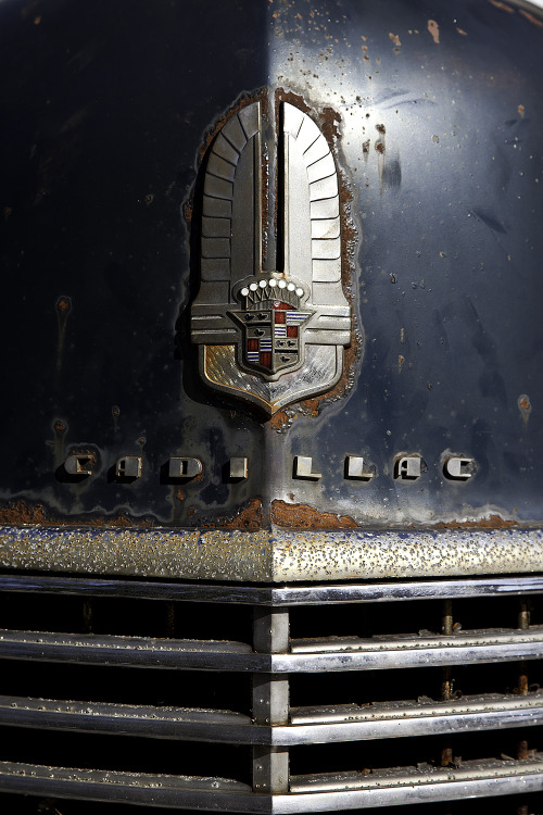 patgavin:  Cadillac Grill, Lafayette Rd., Salisbury, Massachusetts