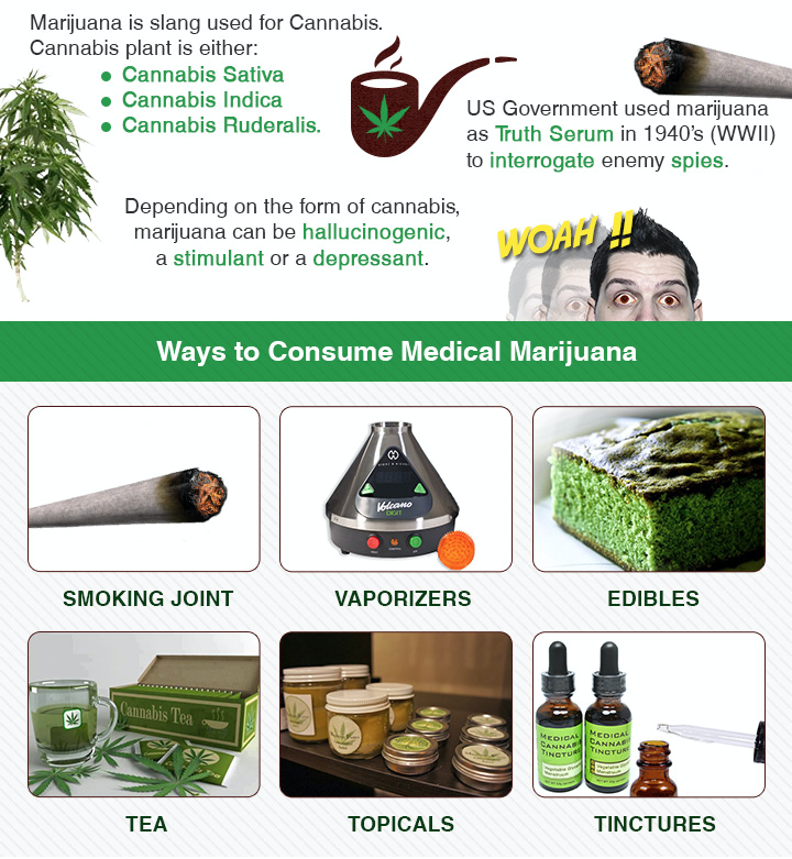 americaninfographic:  Marijuana Facts