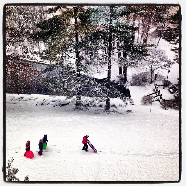 The view from my window when it’s snowing never fails to wow me. Squeals of delight from sledding kids seems to indicate they agree. #SnowDay #PolarVortex