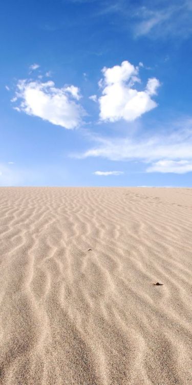 Desert, sand, sunny day, horizon, 1080x2160 wallpaper @wallpapersmug : https://ift.tt/2FI4itB - http