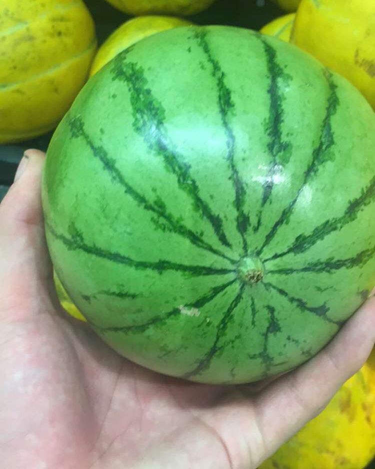 #watermelon