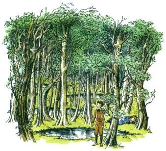 illustration from the magicians nephew of Digory in the wood between the worlds