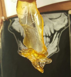 psychitup-smokeitdown:  Dabbing on some gold. 