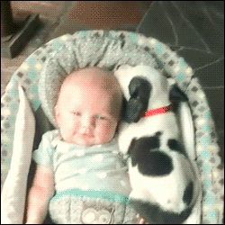 trinandtonic:dontbearuiner:lawebloca:FriendsThis is a very important post.babies babying together