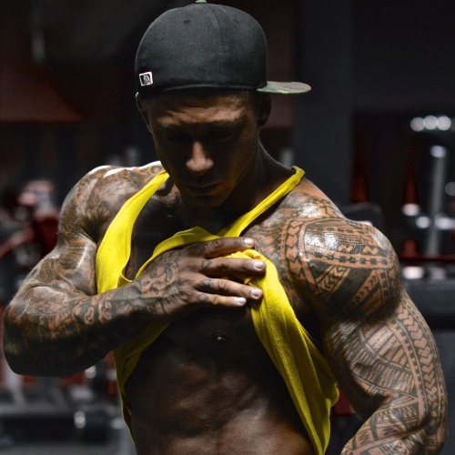 Adonis Files