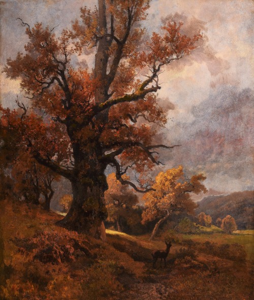Kelety Gusztáv - Őszi táj51 x 43 cm                            Olaj, fa