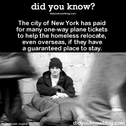 did-you-kno:  The city of New York has paid for many one-way plane tickets to help the homeless relocate, even overseas, if they have a guaranteed place to stay.  Source