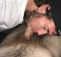 frankiefcknb:  sucking some hard hairy cock