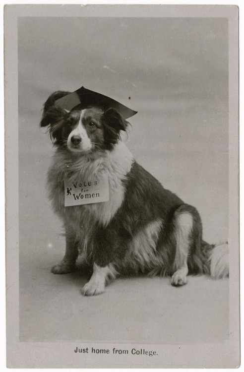 onceuponatown: Women’s Suffrage Postcards, Great Britain, 1906-1907.We have a team of researchers 