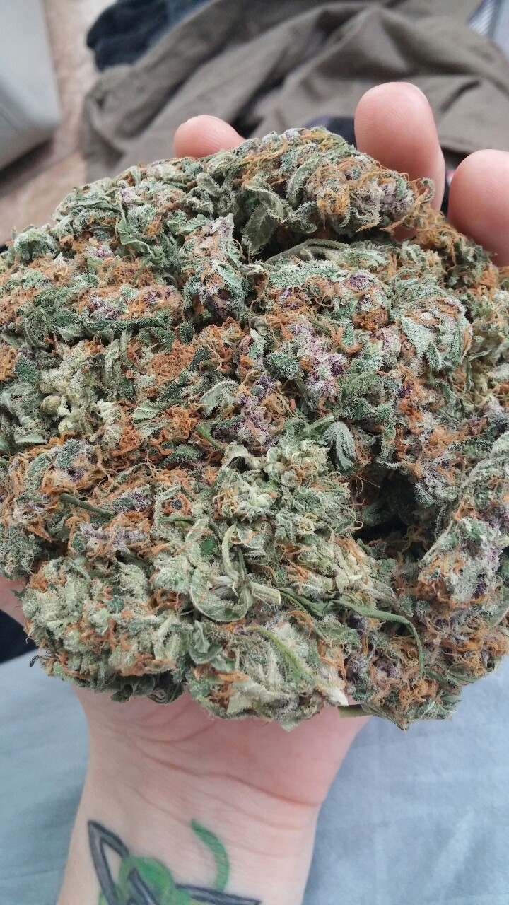 most-dope:  Big buds 