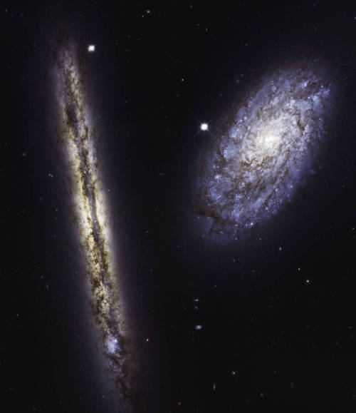 Hubble Space Telescope images of spiral galaxies NGC 4302 (left) and NGC 4298 (right) in visible and