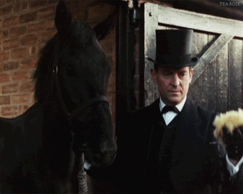 Holmes and Horses