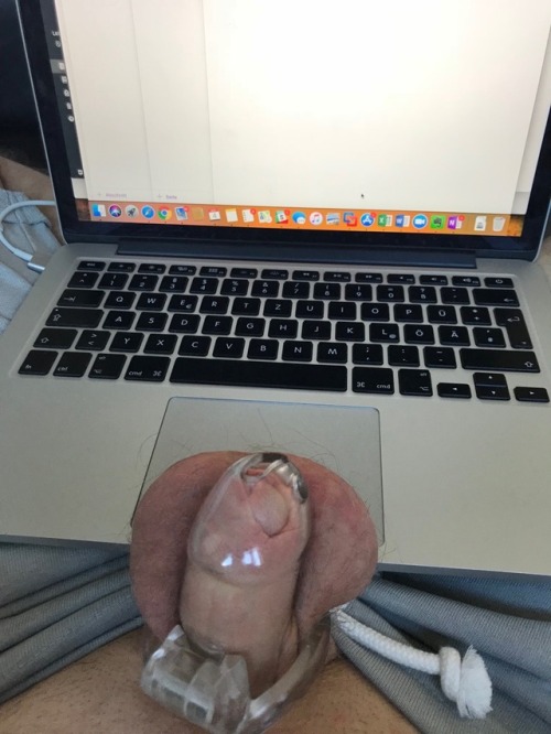 chastityslave-bln: A day of home office from San Francisco. My little dick is doing all the work.@