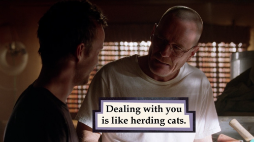 yeahmanicandobetter:The Breaking Bad Guide to Troubled Birds
